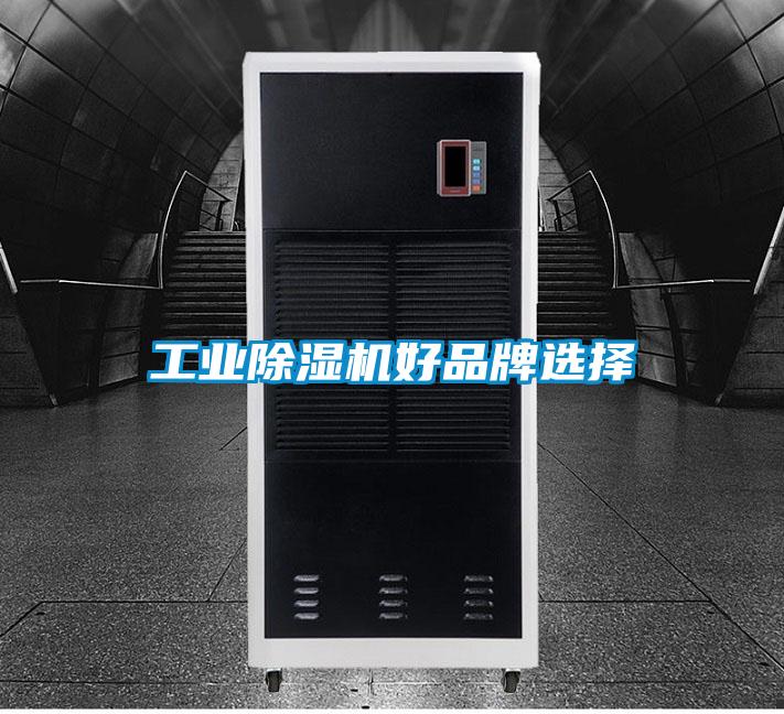 工业麻豆视频黄网站好品牌选择