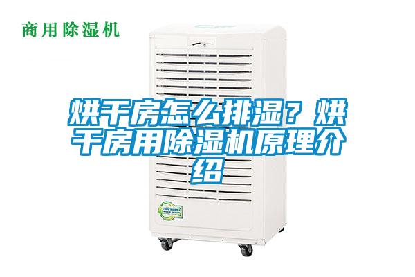 烘干房怎么排湿？烘干房用麻豆视频黄网站原理介绍
