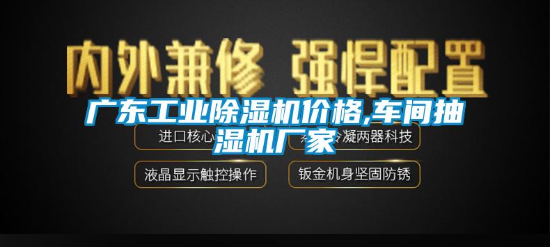 广东工业麻豆视频黄网站价格,车间抽湿机厂家