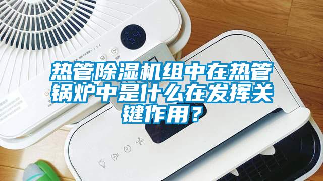 热管麻豆视频黄网站组中在热管锅炉中是什么在发挥关键作用？