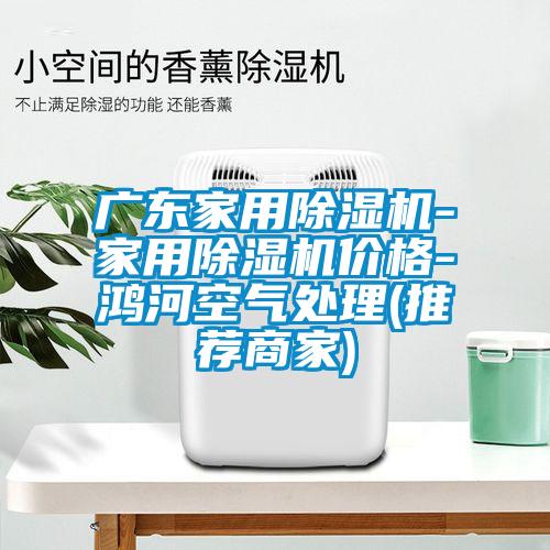 广东家用麻豆视频黄网站-家用麻豆视频黄网站价格-鸿河空气处理(推荐商家)