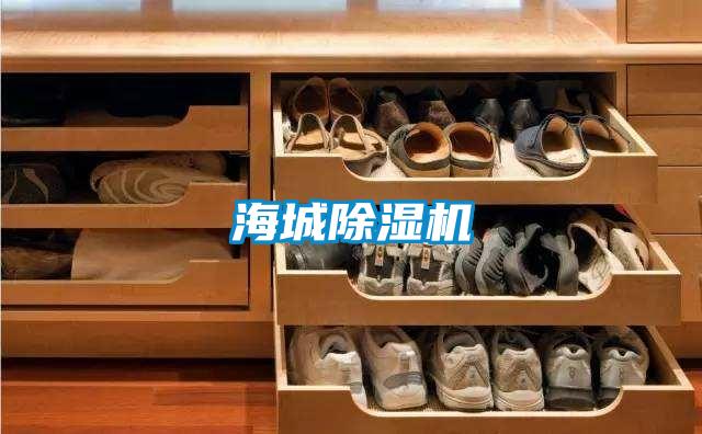 海城麻豆视频黄网站