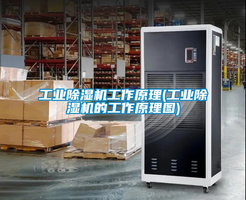 工业麻豆视频黄网站工作原理(工业麻豆视频黄网站的工作原理图)