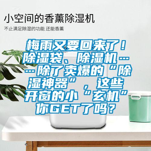 梅雨又要回来了！除湿袋、麻豆视频黄网站……除了卖爆的“除湿神器”，这些开窗的小“玄机”你GET了吗？