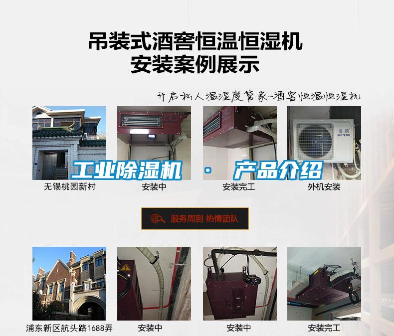 工业麻豆视频黄网站 · 产品介绍