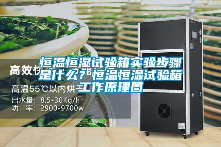 恒温恒湿试验箱实验步骤是什么？恒温恒湿试验箱工作原理图