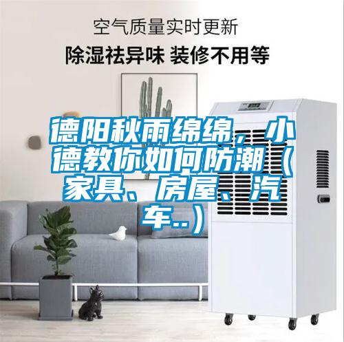 德阳秋雨绵绵，小德教你如何防潮（家具、房屋、汽车..）