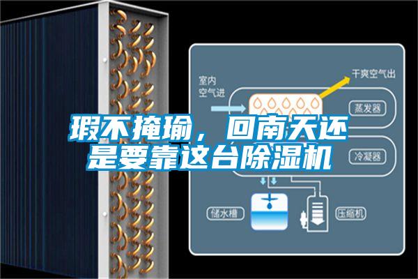 瑕不掩瑜，回南天还是要靠这台麻豆视频黄网站