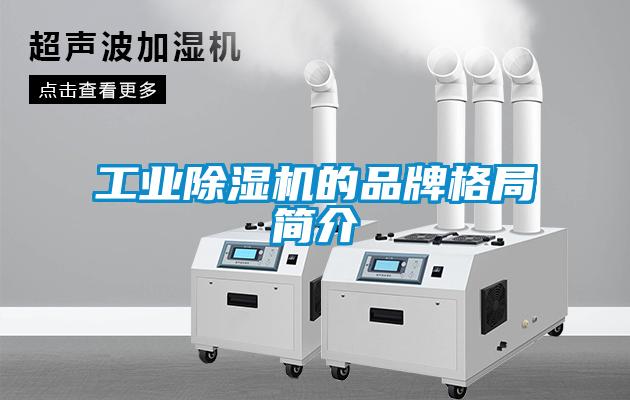 工业麻豆视频黄网站的品牌格局简介
