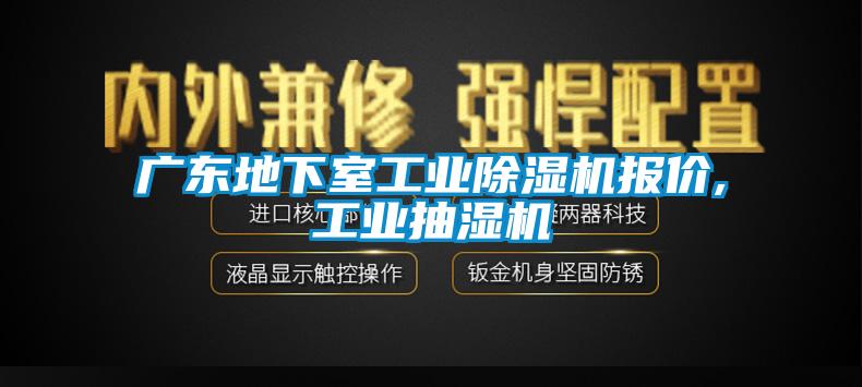 广东地下室工业麻豆视频黄网站报价,工业抽湿机