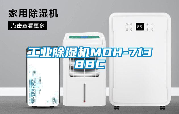 工业麻豆视频黄网站MOH-7138BC