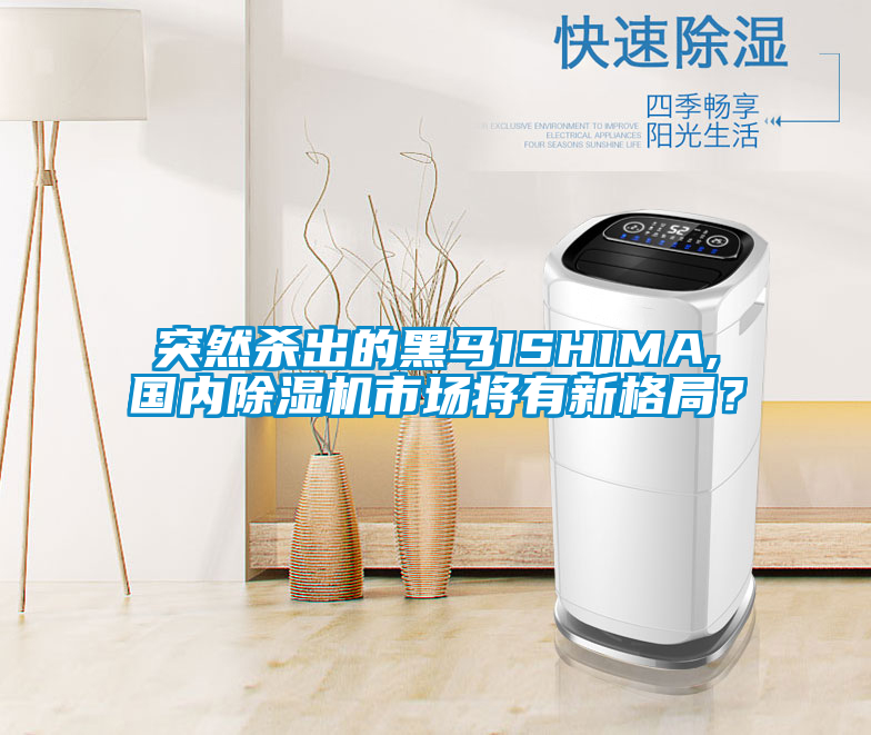 突然杀出的黑马ISHIMA,国内麻豆视频黄网站市场将有新格局？