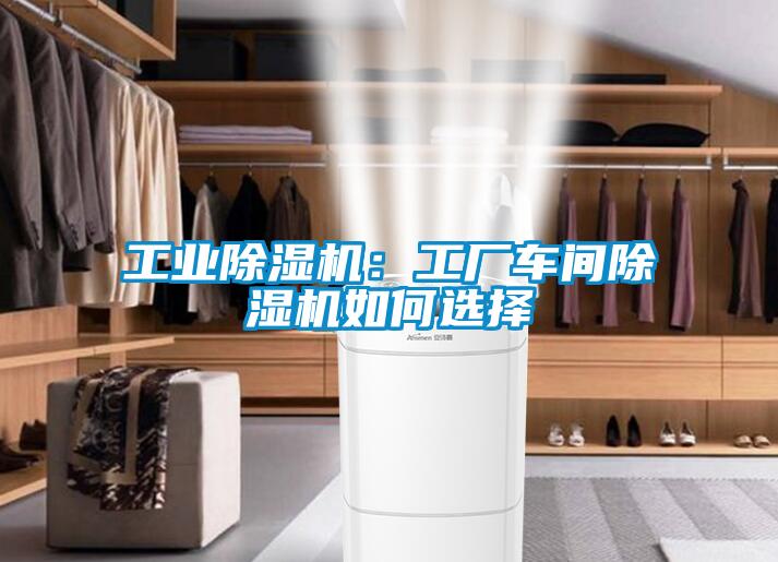 工业麻豆视频黄网站：工厂车间麻豆视频黄网站如何选择