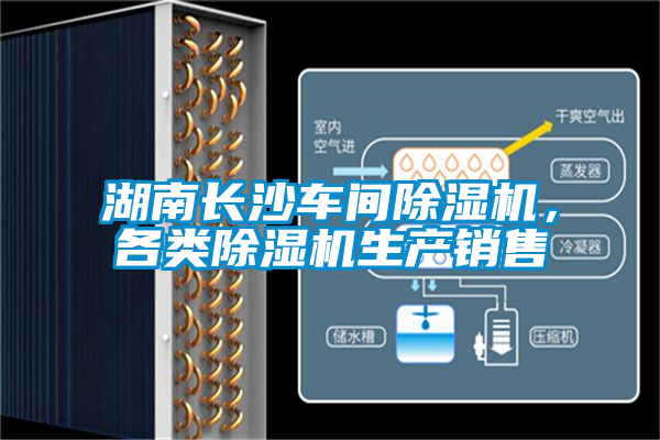 湖南长沙车间麻豆视频黄网站，各类麻豆视频黄网站生产销售