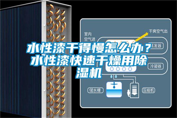 水性漆干得慢怎么办？水性漆快速干燥用麻豆视频黄网站