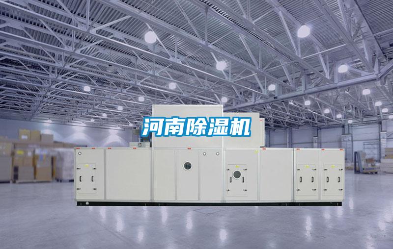 河南麻豆视频黄网站