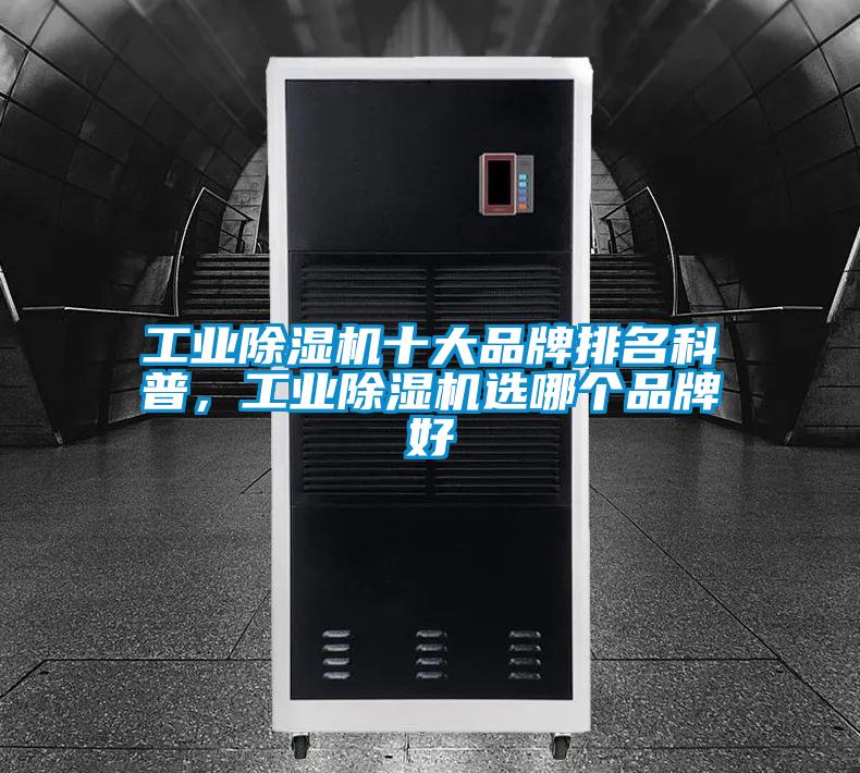 工业麻豆视频黄网站十大品牌排名科普，工业麻豆视频黄网站选哪个品牌好