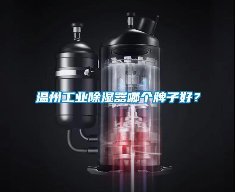温州工业除湿器哪个牌子好？
