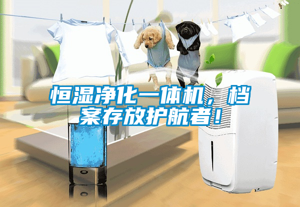 恒湿净化一体机，档案存放护航者！