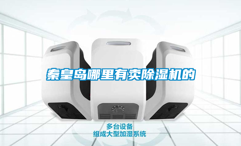 秦皇岛哪里有卖麻豆视频黄网站的