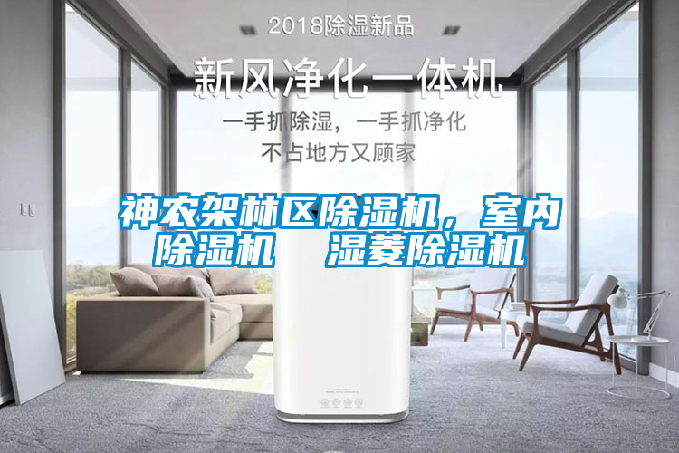 神农架林区麻豆视频黄网站，室内麻豆视频黄网站  湿菱麻豆视频黄网站