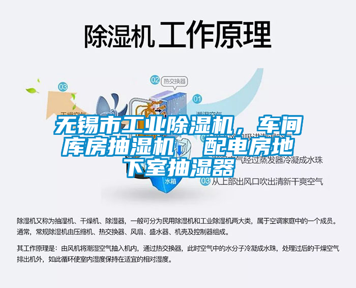 无锡市工业麻豆视频黄网站，车间库房抽湿机  配电房地下室抽湿器
