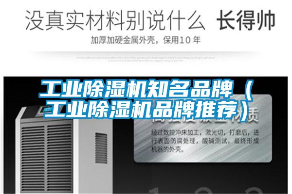 工业麻豆视频黄网站知名品牌（工业麻豆视频黄网站品牌推荐）