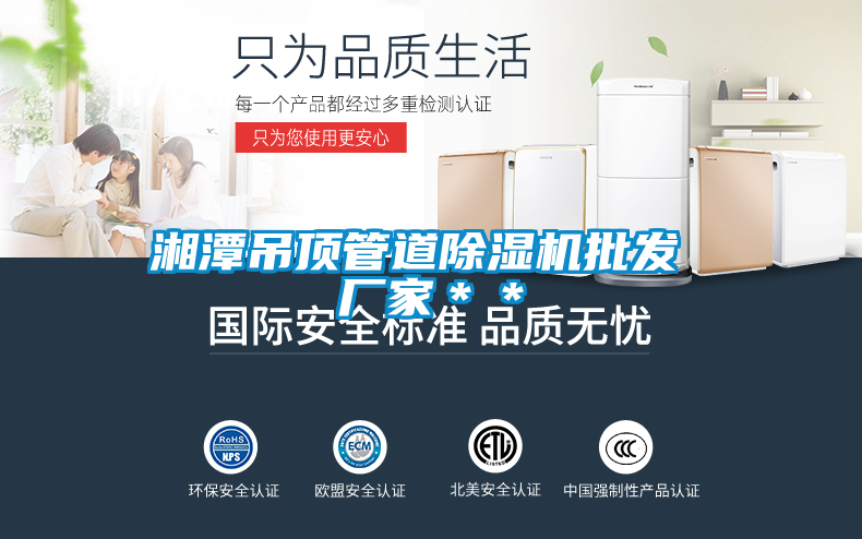 湘潭吊顶管道麻豆视频黄网站批发 厂家＊＊
