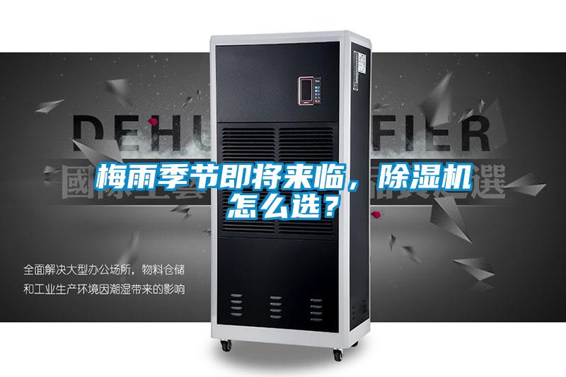 梅雨季节即将来临，麻豆视频黄网站怎么选？