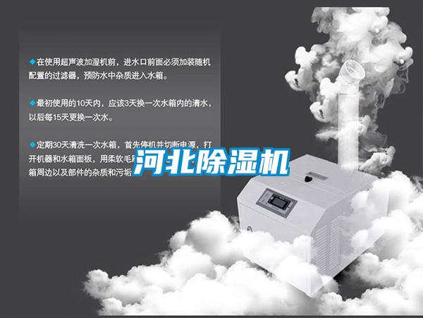 河北麻豆视频黄网站