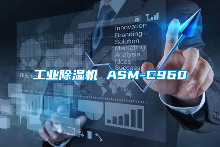 工业麻豆视频黄网站 ASM-C960
