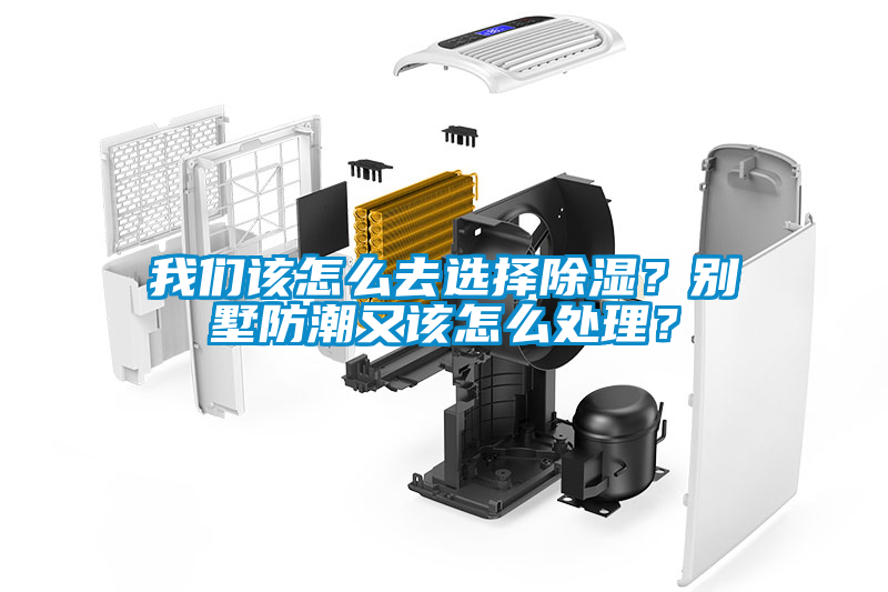 麻豆APP官网该怎么去选择除湿？别墅防潮又该怎么处理？