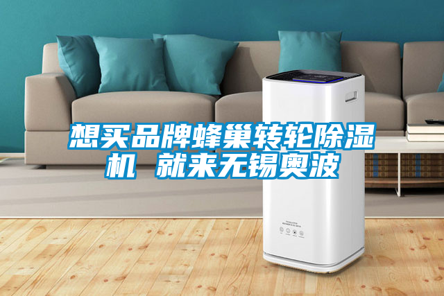 想买品牌蜂巢转轮麻豆视频黄网站 就来无锡奥波