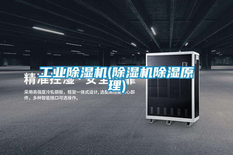 工业麻豆视频黄网站(麻豆视频黄网站除湿原理)