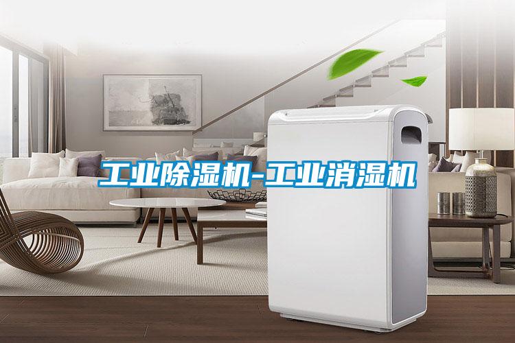 工业麻豆视频黄网站-工业消湿机