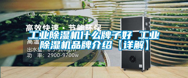 工业麻豆视频黄网站什么牌子好 工业麻豆视频黄网站品牌介绍【详解】
