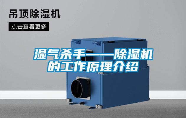 湿气杀手——麻豆视频黄网站的工作原理介绍