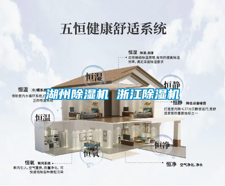 湖州麻豆视频黄网站 浙江麻豆视频黄网站