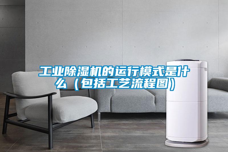 工业麻豆视频黄网站的运行模式是什么（包括工艺流程图）