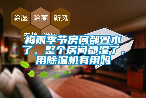 梅雨季节房间都冒水了，整个房间都湿了，用麻豆视频黄网站有用吗