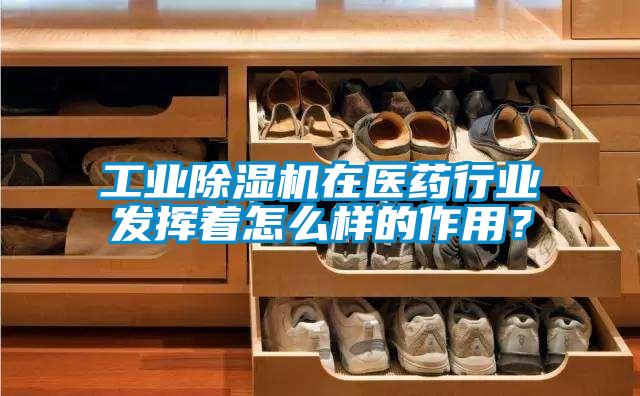 工业麻豆视频黄网站在医药行业发挥着怎么样的作用？
