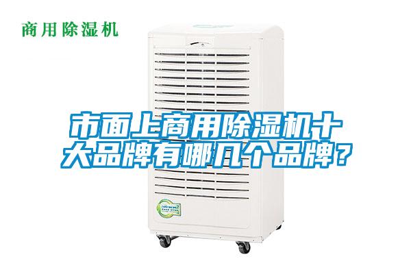 市面上商用麻豆视频黄网站十大品牌有哪几个品牌？