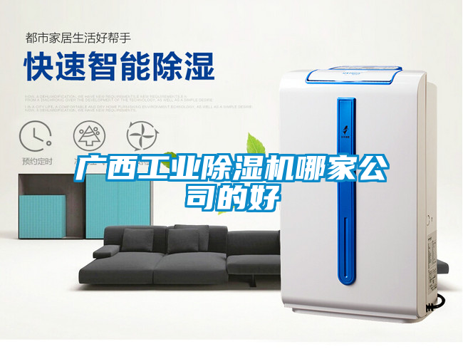 广西工业麻豆视频黄网站哪家公司的好