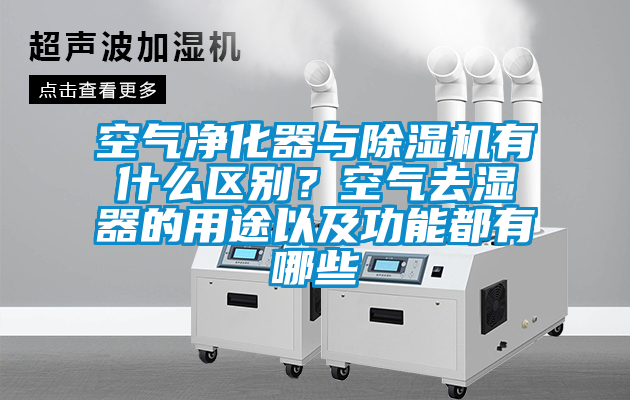 空气净化器与麻豆视频黄网站有什么区别？空气去湿器的用途以及功能都有哪些