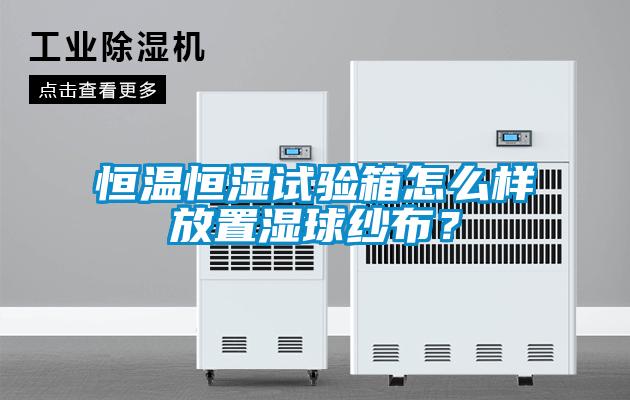 恒温恒湿试验箱怎么样放置湿球纱布？