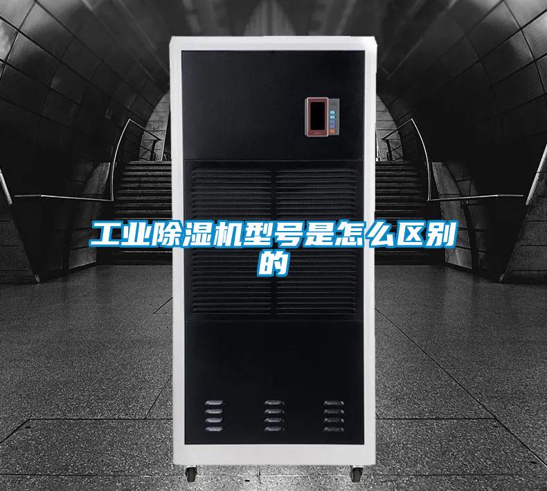 工业麻豆视频黄网站型号是怎么区别的