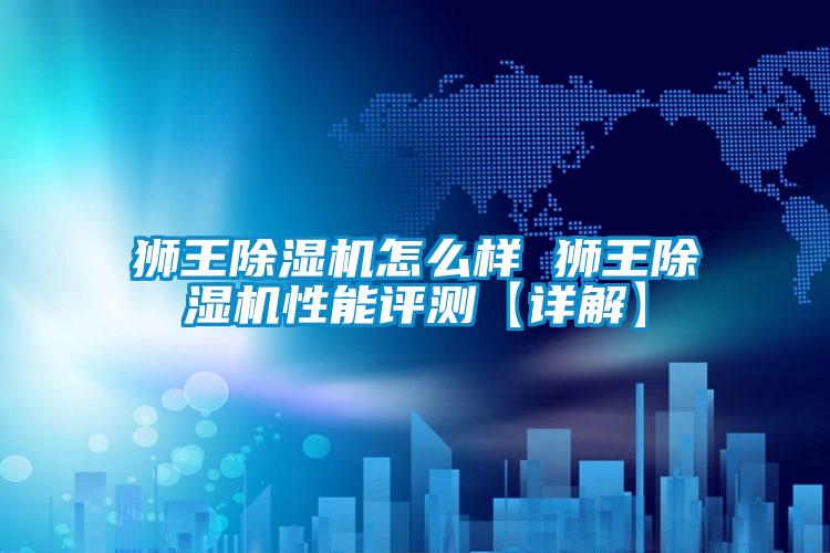 狮王麻豆视频黄网站怎么样 狮王麻豆视频黄网站性能评测【详解】