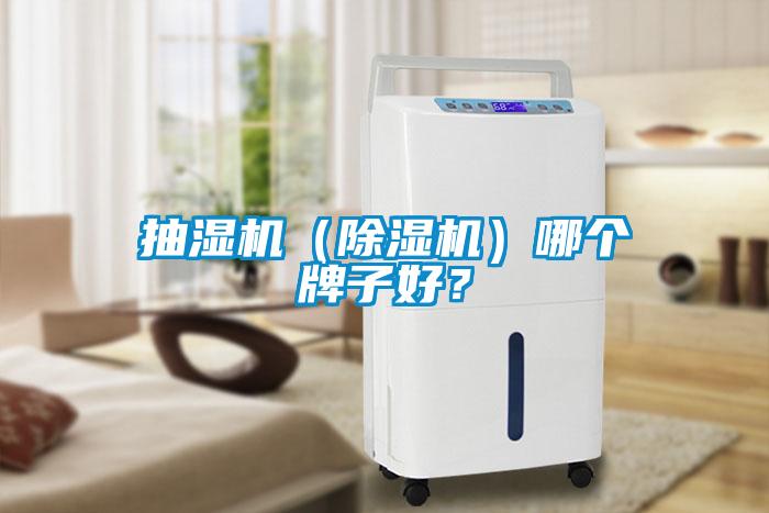 抽湿机（麻豆视频黄网站）哪个牌子好？