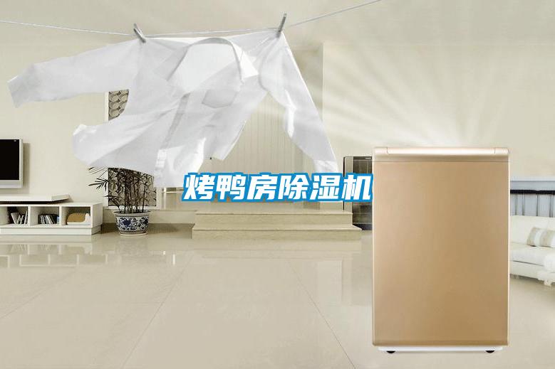 烤鸭房麻豆视频黄网站