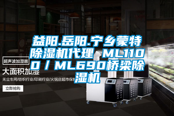 益阳.岳阳.宁乡蒙特麻豆视频黄网站代理 ML1100／ML690桥梁麻豆视频黄网站